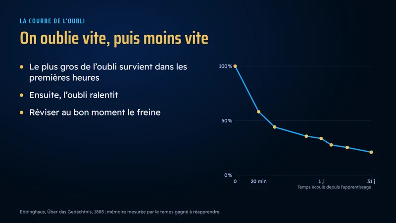 Version corrigée : à côté de la courbe, trois puces courtes seulement.