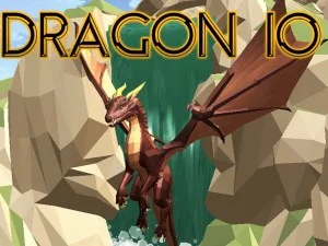 Dragon io