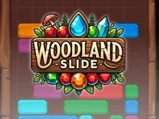 Woodland Slide